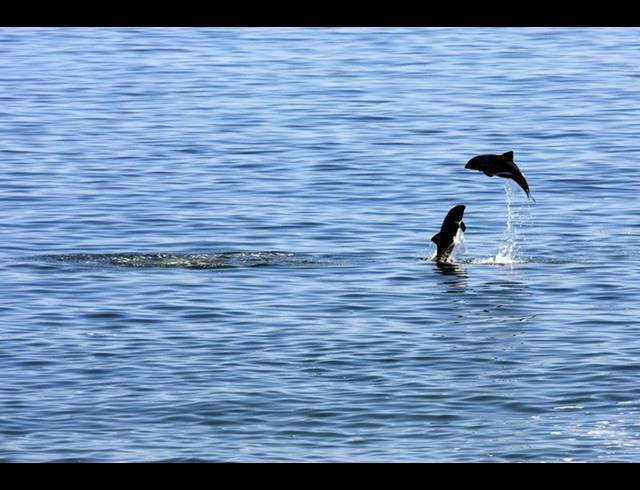 LAND FOR SALE IN BRITANNIA BAY